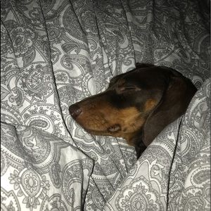 Meet your Posher, Sonia